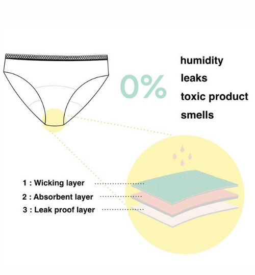 Illustration de la composition du culotte hygiénique