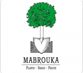 Mabrouka plant nursery logo
