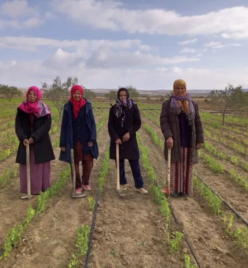 four women farming in a land field for the nutrition of children